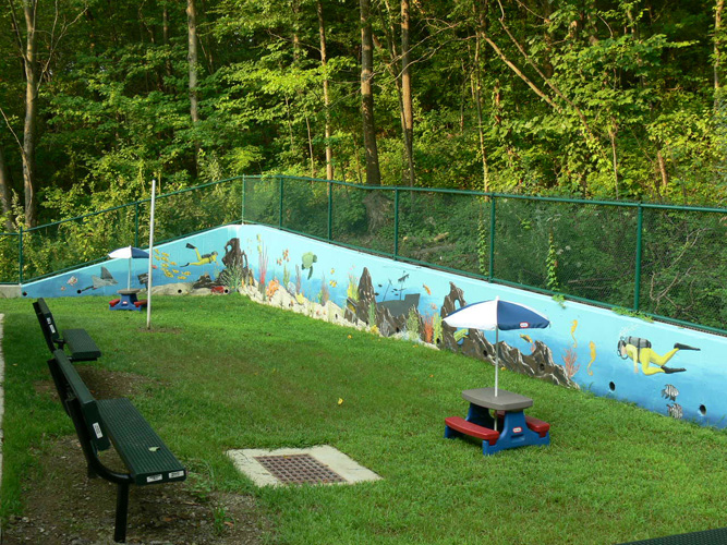 Backyard Murals